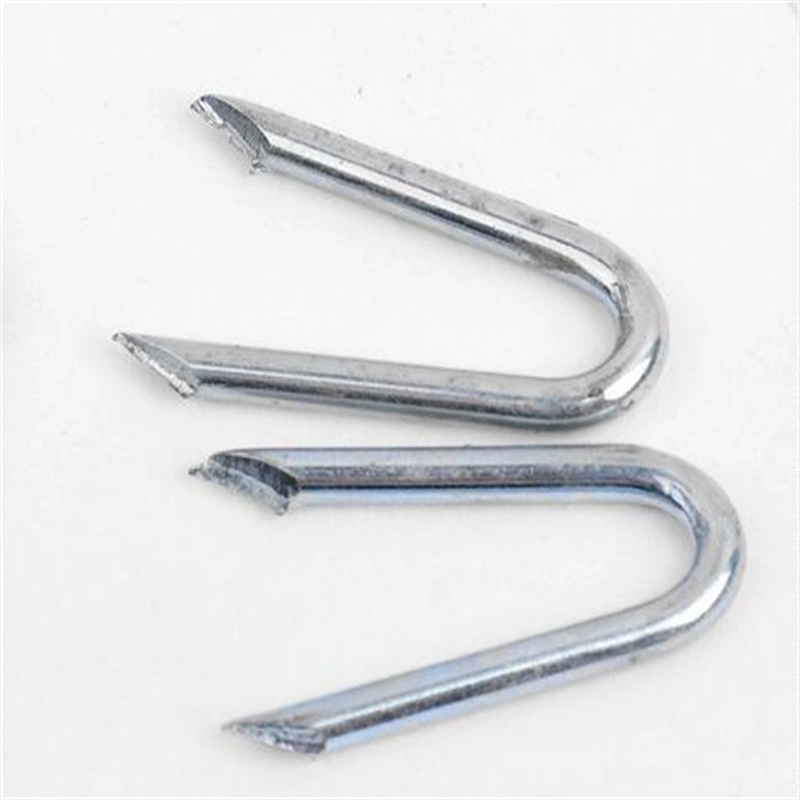 Galvanized U Type Hammer Staples Nail for Fencing