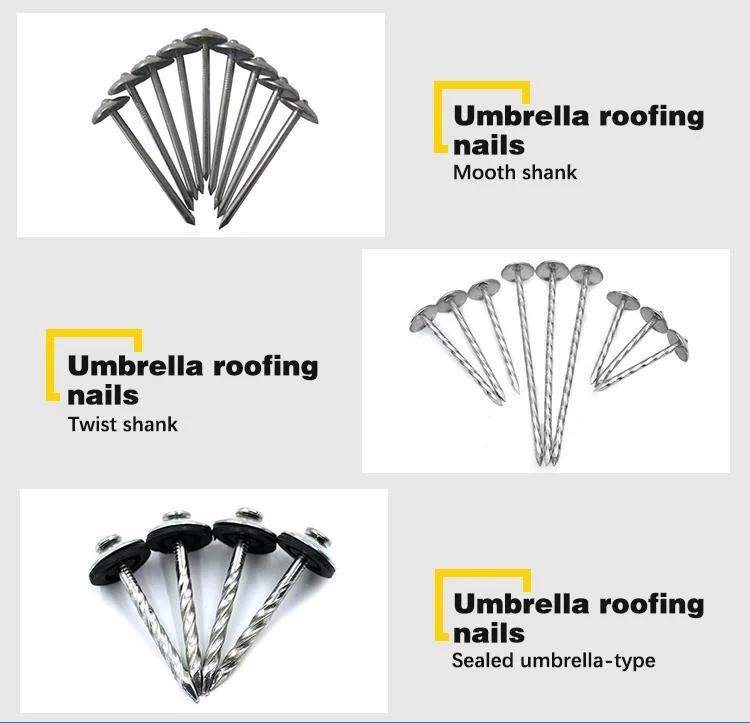 Factory Price Corrugated Sheet Nails Twisted and Round Shank Umbrella Head Roofing Nail