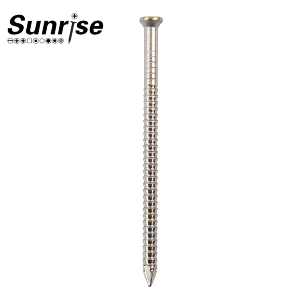 Stainless Steel Lose/Shank Nails Screws