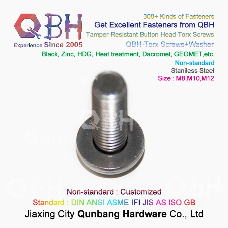 OEM Stainless Steel Tamper-Resistant Button Head Inner Flower Torx Screws with Washer