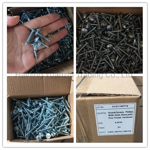 Zinc Plated Phillips Wafer Head Self Drilling Screw From China