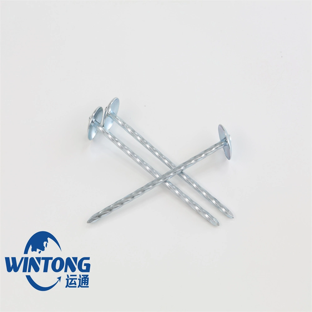 304 Stainless Steel/High Hardness/Umbrella Cap Round Head Nails