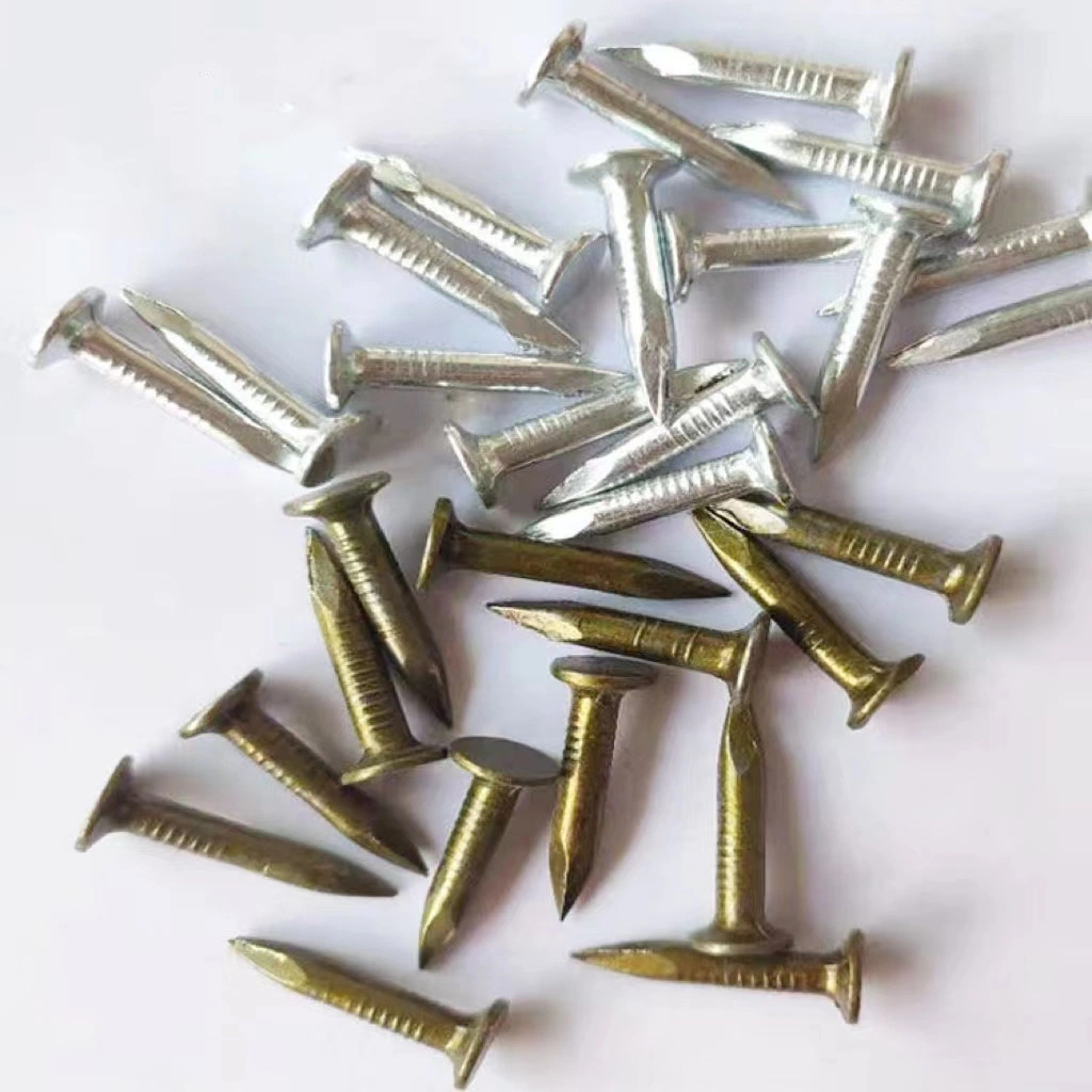 High Quality Yellow Zinc Roofing Nails/Clout Nails/Felt Nails/Big Head Nail/Flat Head Nails