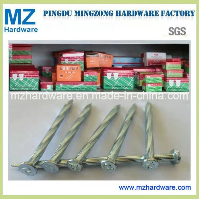 45# 9g 10g 12g 3/4&quot; 1&quot; 1.5&quot; 2&quot; 2.5&quot; 3&quot; High Quality Carbon Steel /Concrete Steel /Iron /Polished Wire /Common Round/Metal Nail for Building Construction