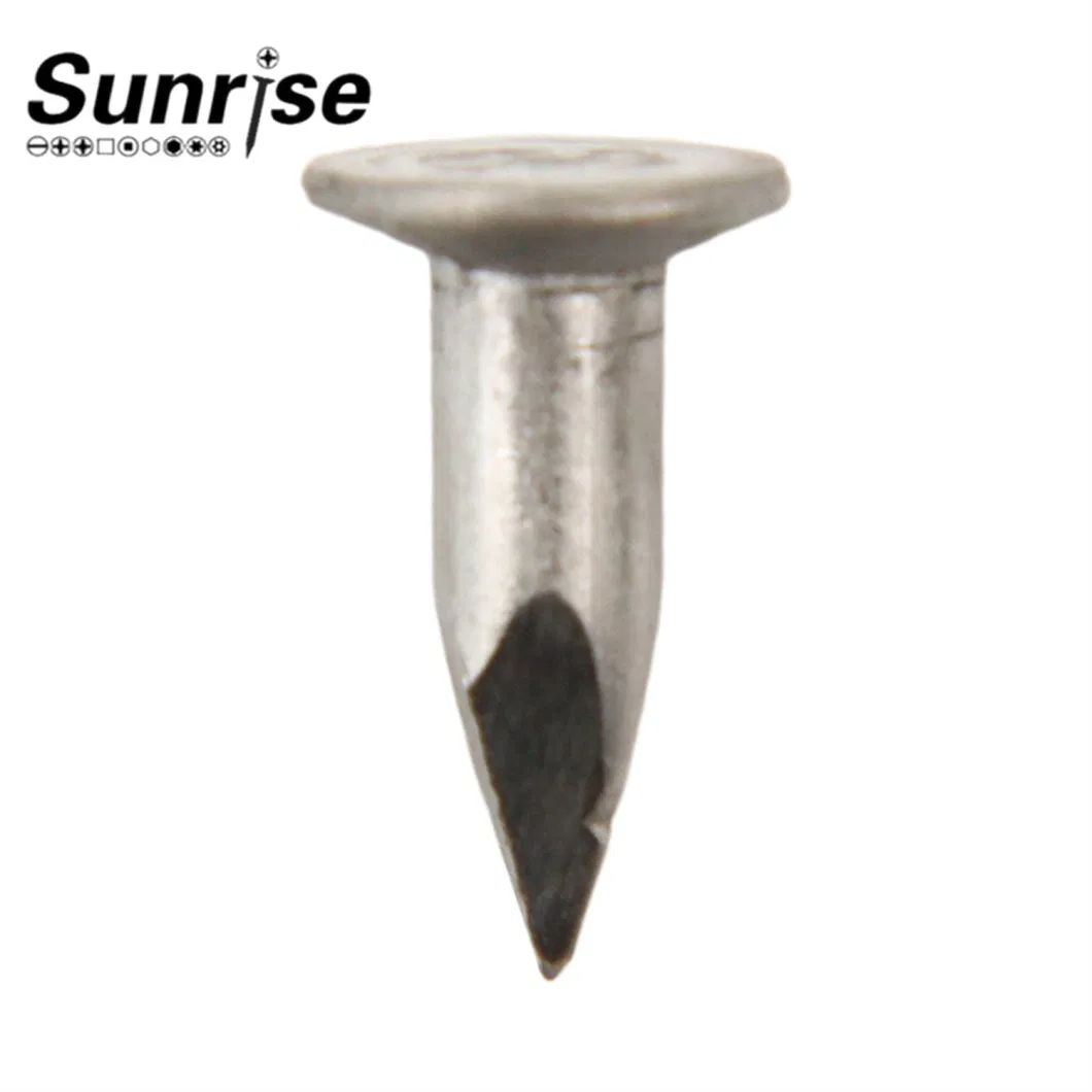 Stainless Steel Lose/Shank Nails Screws