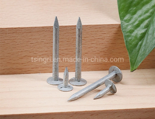 TGR/Tsingri Big Flat Head Aluminum Steel Wire Rod Common Nails 1.2 2.5 2.8mm