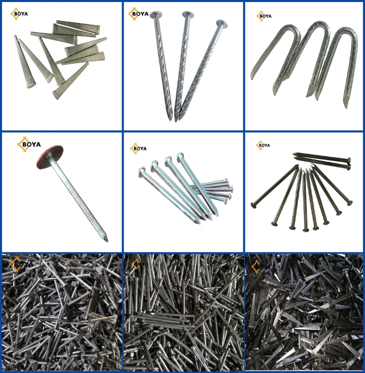 Factory Wholesale Electro Galvanized Assembled Helical Screw Twist Shank Roofing Nails