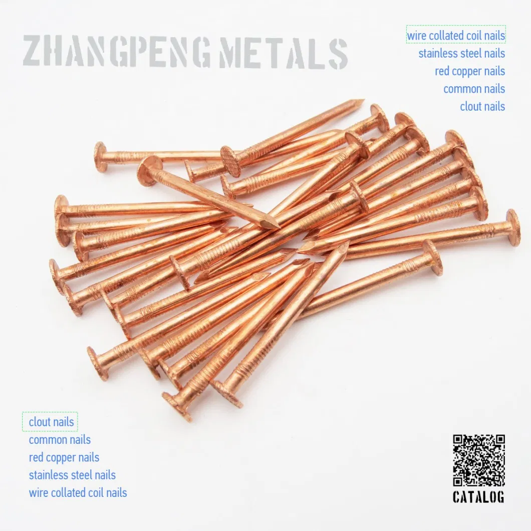 Origin China, Ordinary Nails/Iron Nails/Polished Wire Nails/Ordinary Round Nails/Roofing Nails/Wooden Nails