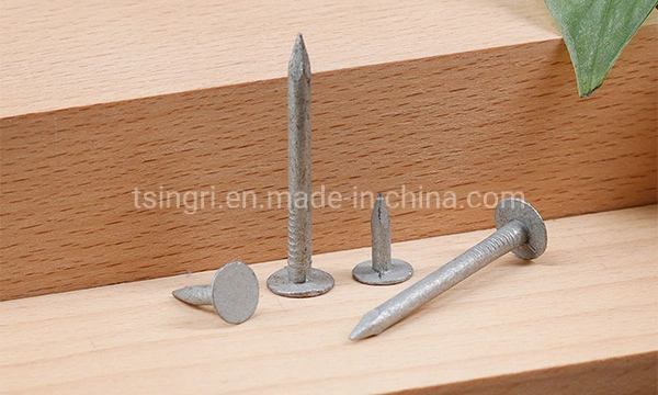 TGR/Tsingri Big Flat Head Aluminum Steel Wire Rod Common Nails 1.2 2.5 2.8mm