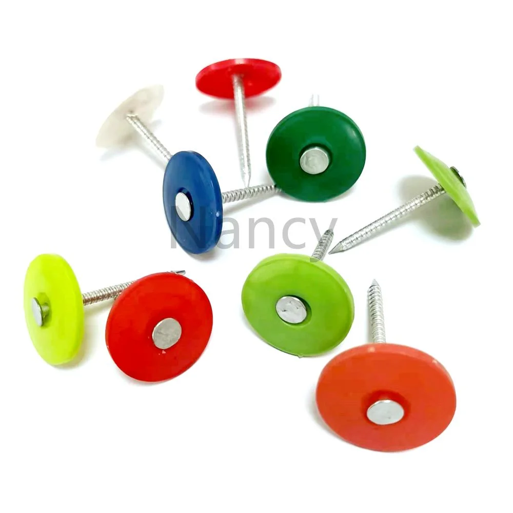 E. G Flat Head Ring Shank Plastic Cap Steel Nail Pack of 2000