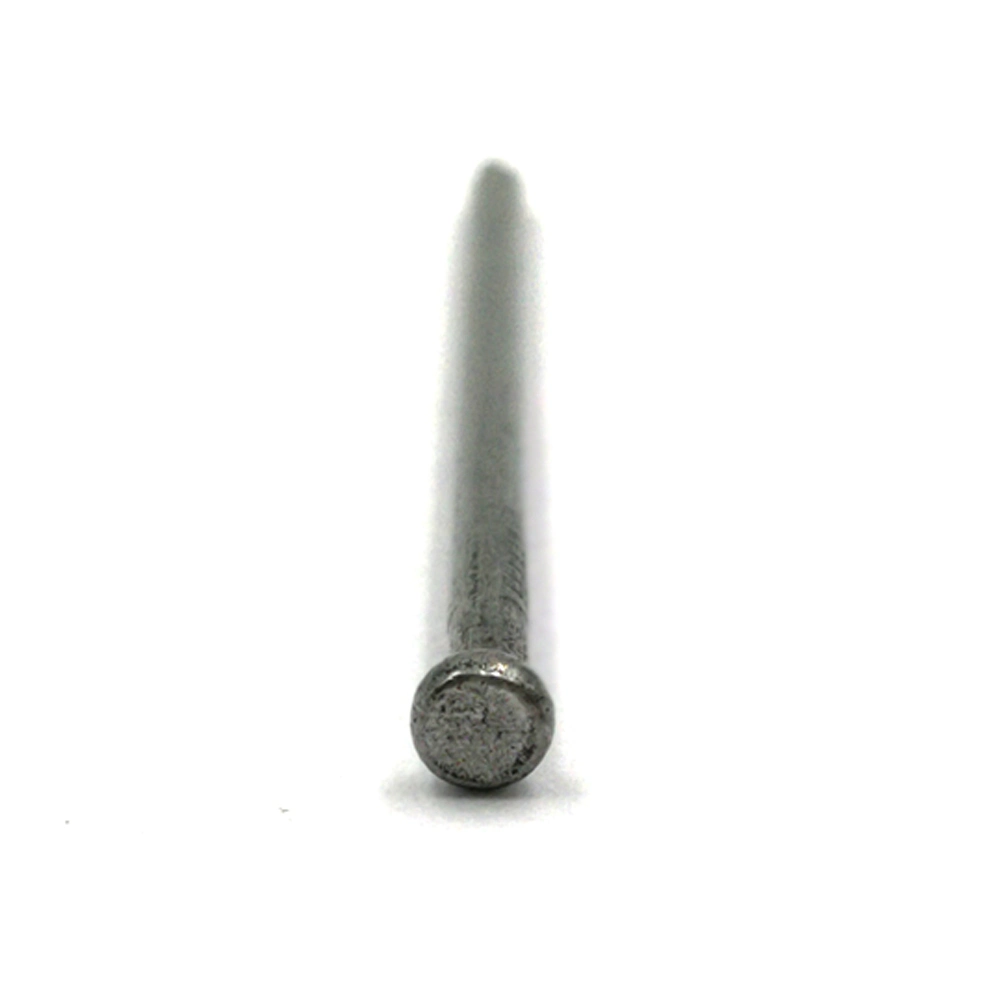 Factorylost Head Panel Pins Bullet Head Nails Common Nails Without Head Headless Nails Oval Nails for All Over The World Market