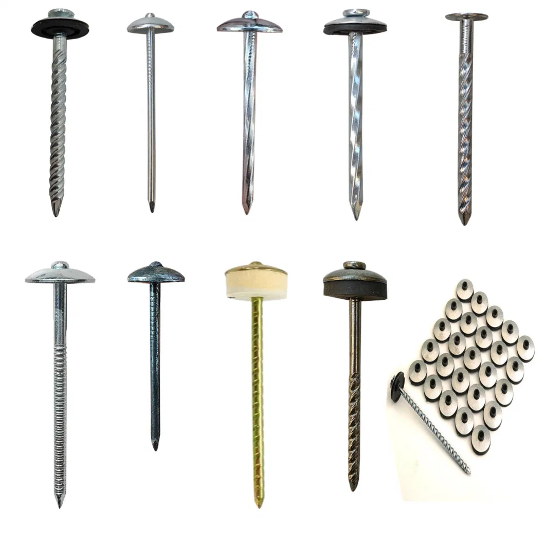 Metal Nail/Roofing Nail/Umbrella Nail Galvanized Firm High Quality