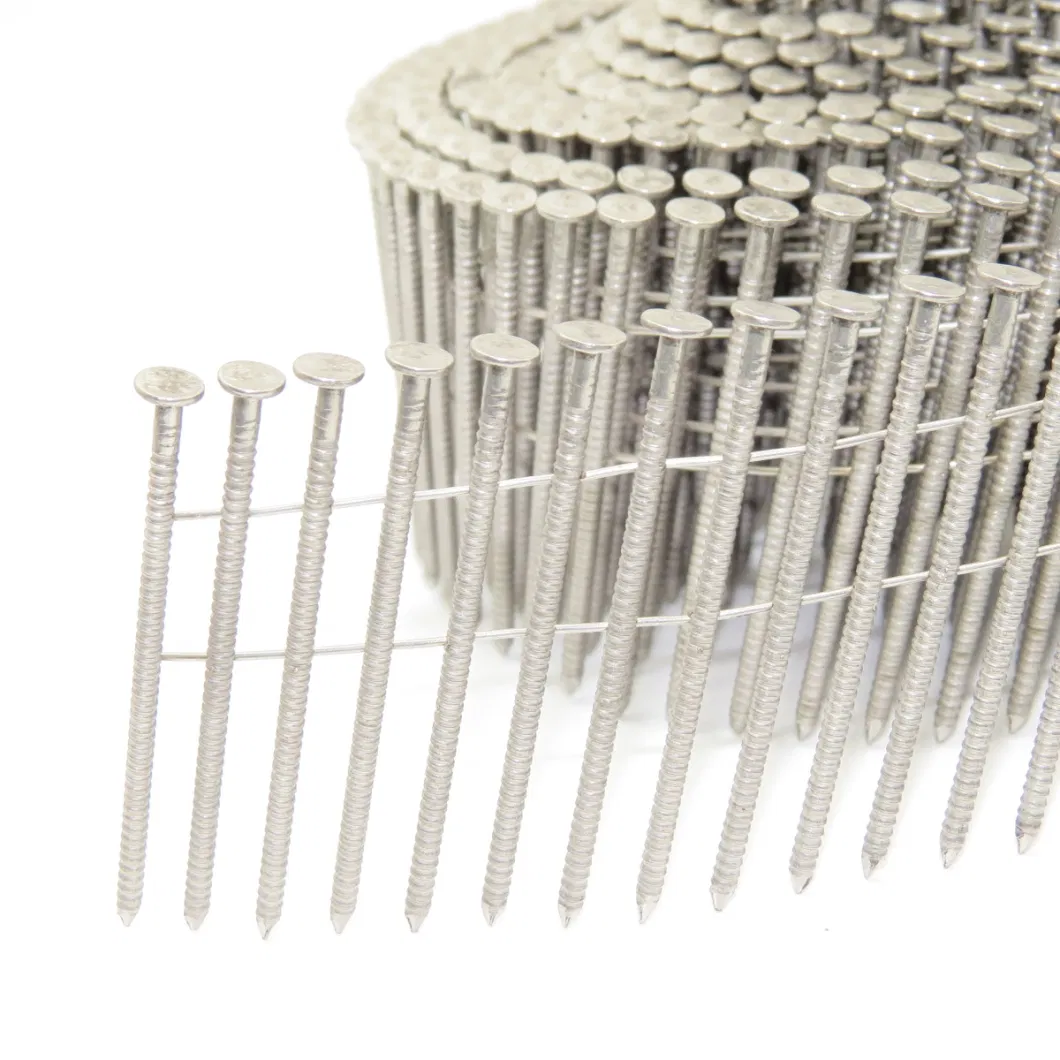 High Quality Stainless Steel Collated Coil Nails