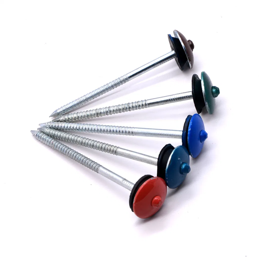 Colored Galvanized Smooth/Twisted Shank Umbrella Head Roofing Nails