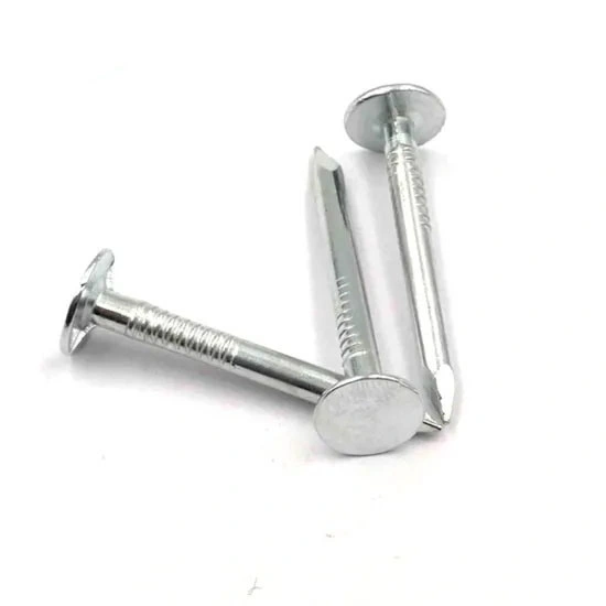 Flat Head Roofing Nail/ Clout Nail/ Big Head Nail/Galvanized Nail