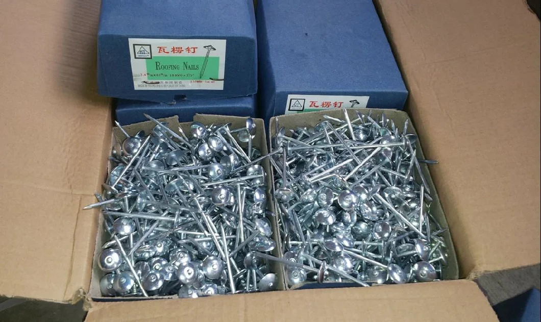 Bright Finishing Zinc Plated Roofing Nails with Umbrella Head for Building