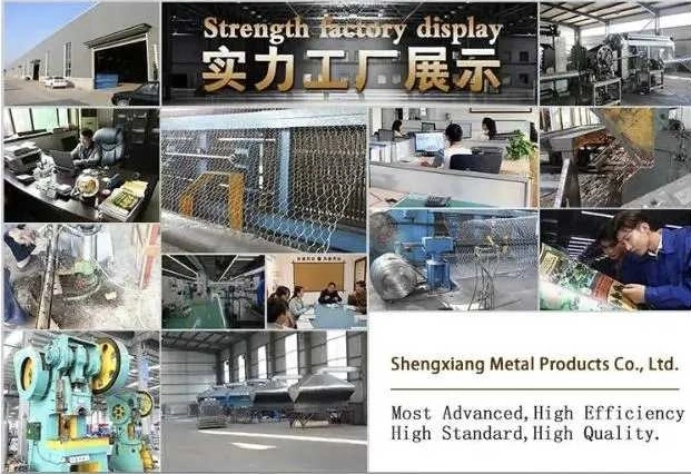 Hot Sale Electro Galvanized Small Box Packing Factory Direct Selling Umbrella Roofing Smooth Nails