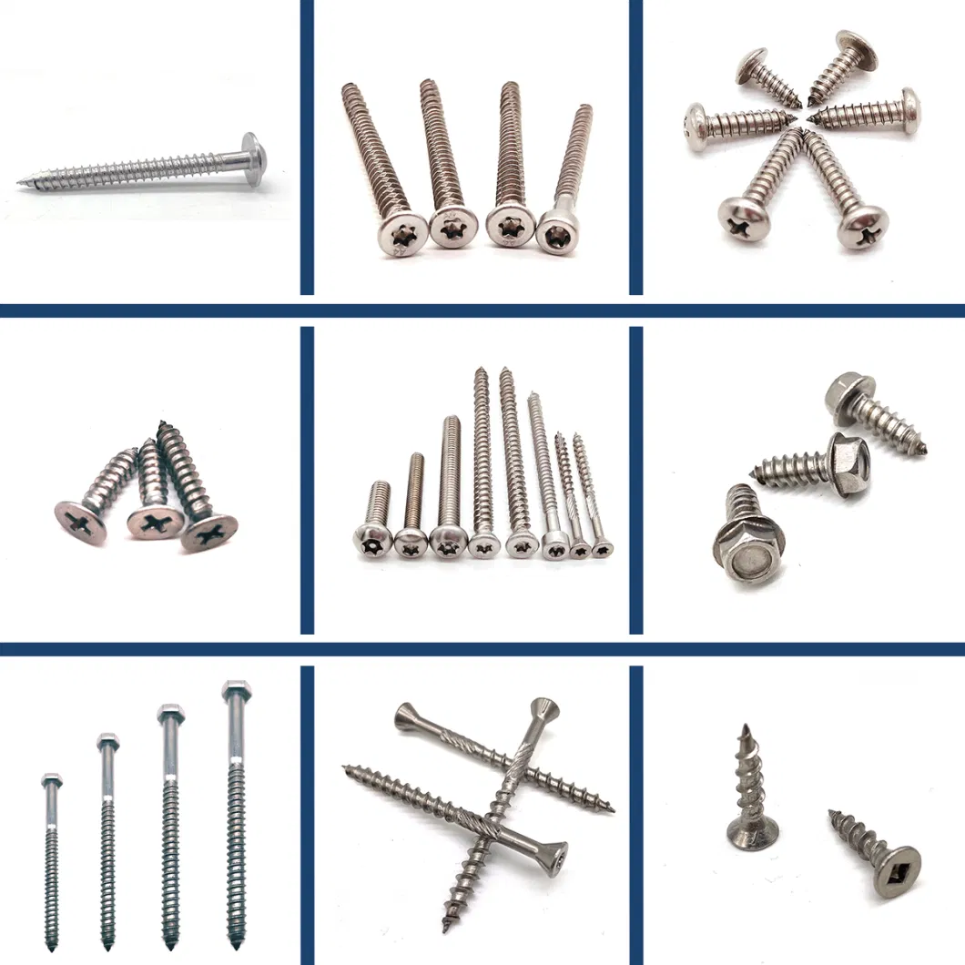 Stainless Steel Torx Machine Screws Bi Metal Screw Drywall /Wood/Chipboard /Self Tapping /Self Drilling Screw