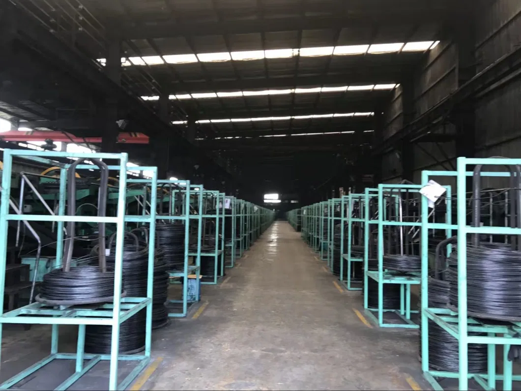 Hardware Warehouse Galvanized Zinc Coated Roofing/Clout/Big Head/Copper/Ceiling/Flat Head/Felt Clout/Asphalt Felt/Shingle Nails for Timber Commector/Roofings