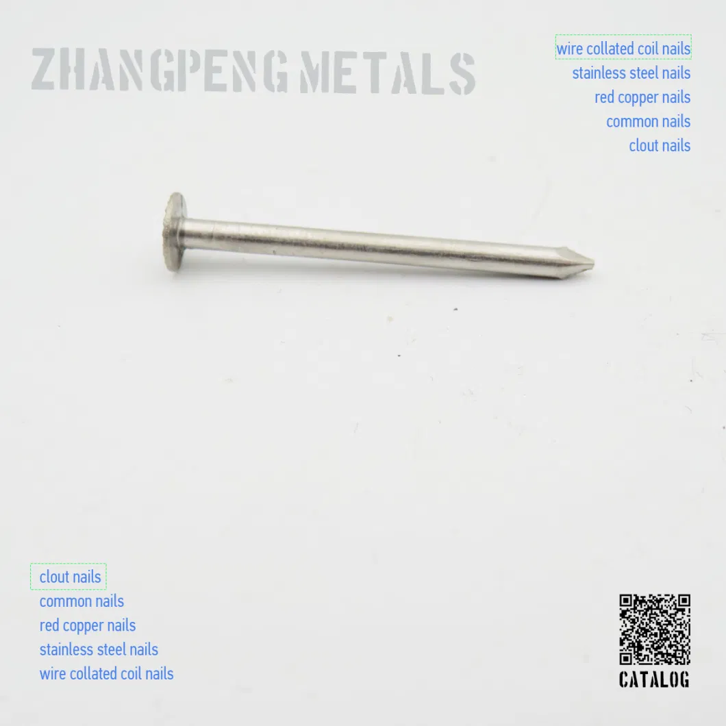 Origin China, Ordinary Nails/Iron Nails/Polished Wire Nails/Ordinary Round Nails/Roofing Nails/Wooden Nails