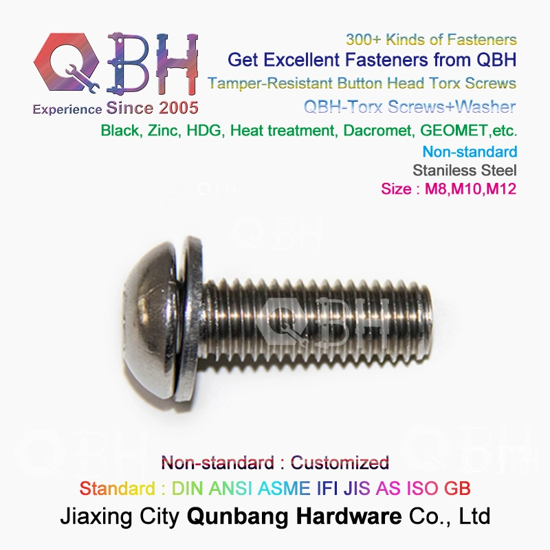 OEM Stainless Steel Tamper-Resistant Button Head Inner Flower Torx Screws with Washer