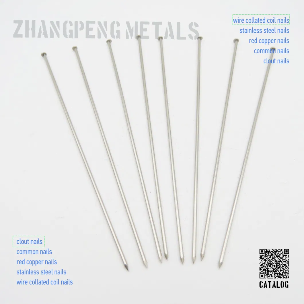 Origin China, Ordinary Nails/Iron Nails/Polished Wire Nails/Ordinary Round Nails/Roofing Nails/Wooden Nails