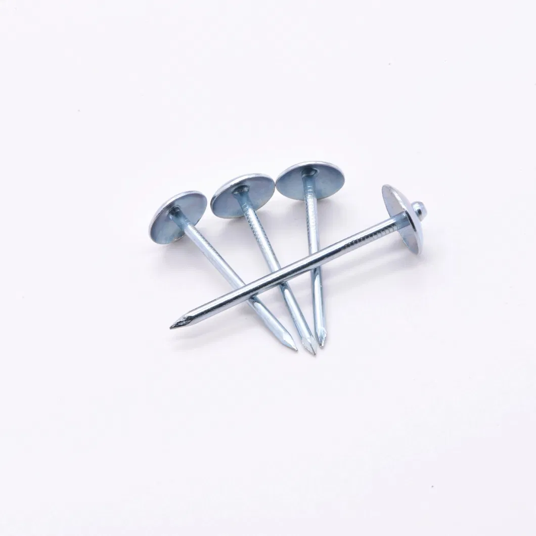 Hot Dipped Twisted Shank Galvanized Umbrella Head Roofing Nails