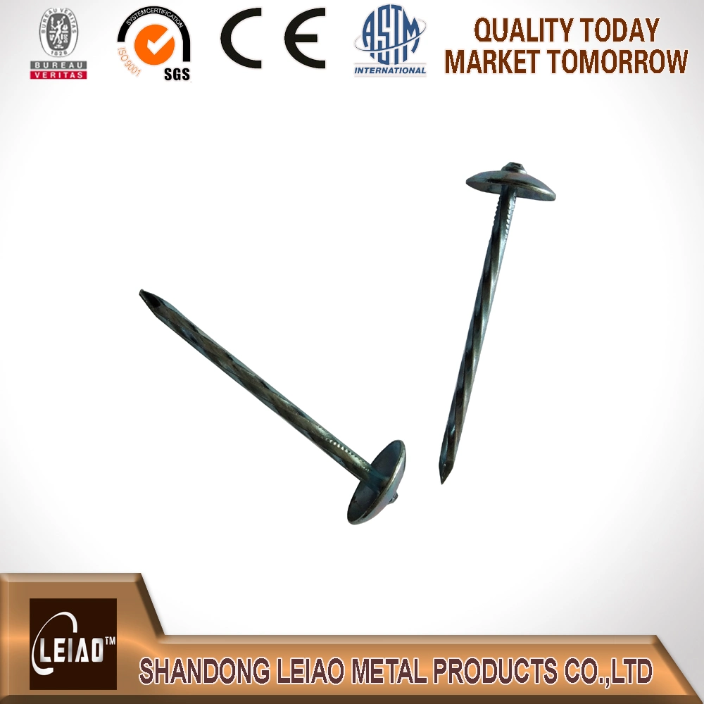 Umbrellla Head Nails /Galvanized Roofing Nails with Rubber Washer