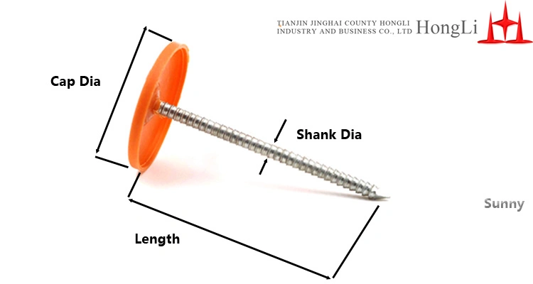 Tianjin Hongli Plastic Cap Low Carbon Steel Ring Shank Nail on Hot Sale