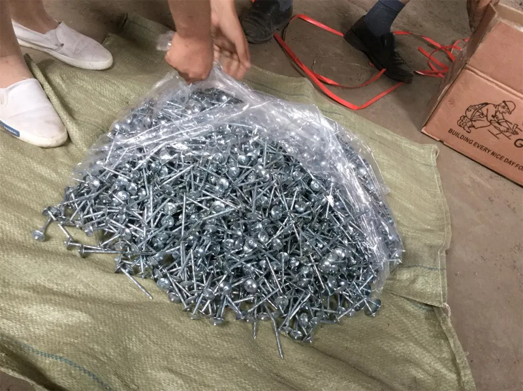 Umbrellla Head Nails /Galvanized Roofing Nails with Rubber Washer