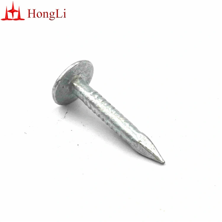 32mm Electro Galvanized Clout Nails Cupper Nails for South Africa Market