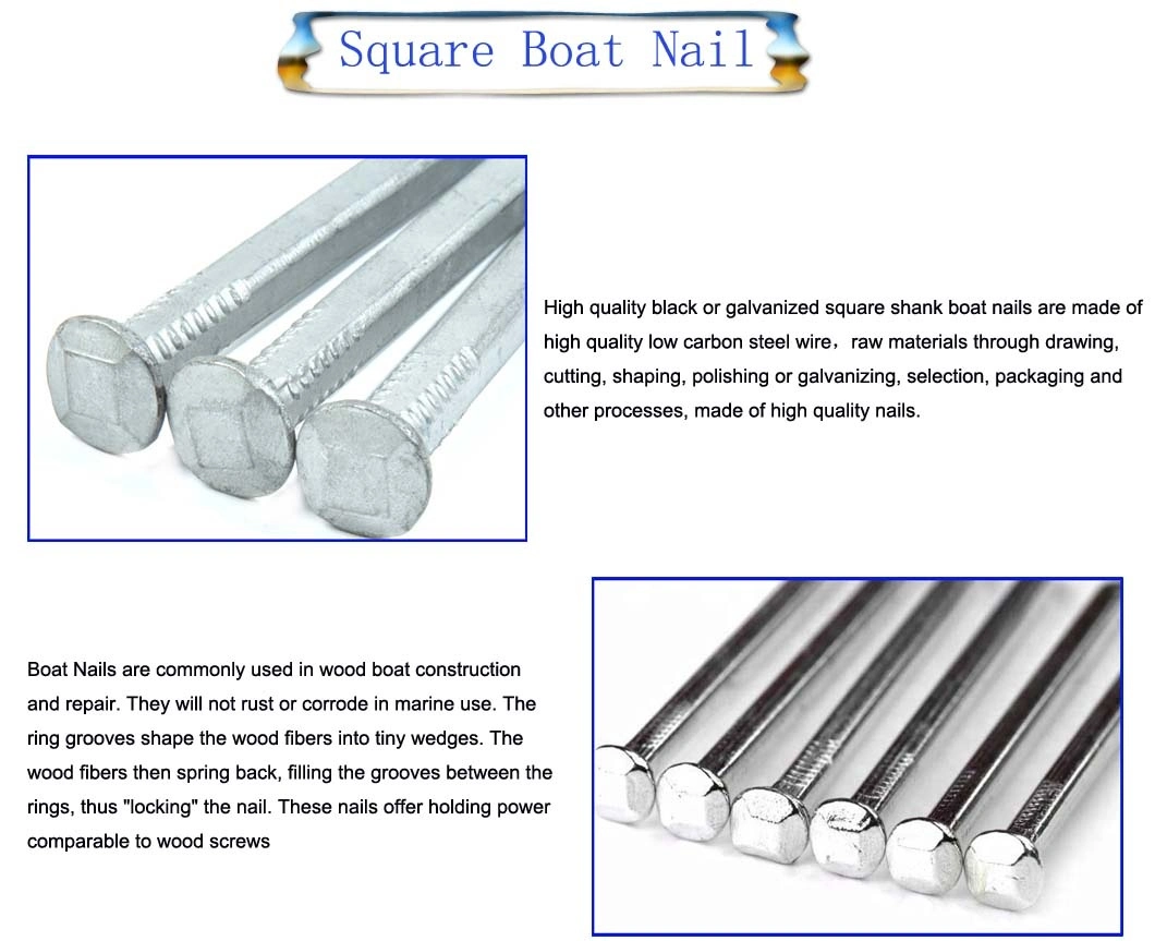 Galvanized Common Nail Low Price Galvanized Iron Clavo Square Shank Nail Square Boat Nail