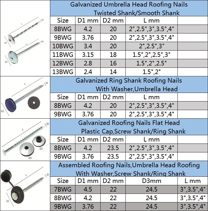 Direct Factory Supply Galvanized Corrugated Sheet Nails Hot Sale Twisted Shank Umbrella Head Roofing Nails