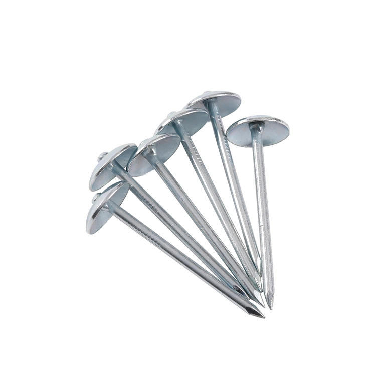 Cheap Price 2.5inch Q195 Roofing Nails Umbrella/Three Star Brand Roofing Nails