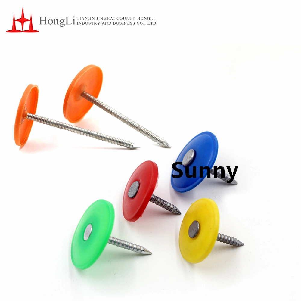 Tianjin Hongli Plastic Cap Low Carbon Steel Ring Shank Nail on Hot Sale