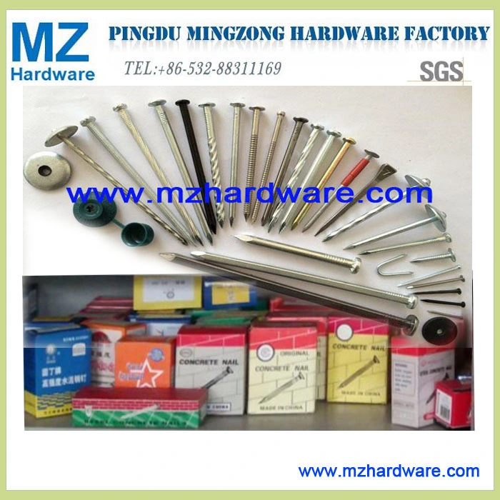 Q195/Q235 1&quot; 1.5&quot; 2&quot; 2.5&quot; 3&quot; 4&quot; 5&quot; 6&quot; 7&quot; Carpentry Cheap / Bright Polished /Iron/Common Round /Lost Head / Barbed /Building Materials /Wooden/Galvanized Nail