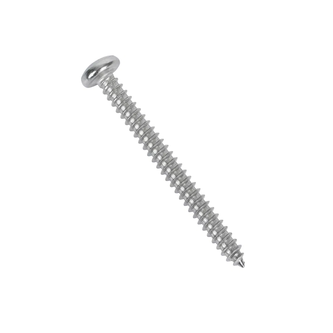 SS304 SS316 Ss201 Stainless Steel Self Tapping Screw