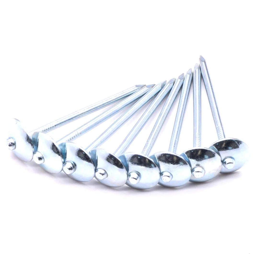 Chinese Factory Supply 2.5 Roofing Nails Galvanized Umbrella Head 25kg spiral Shank Roofing Nails