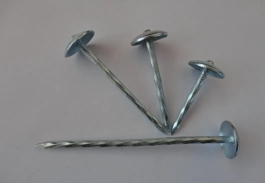 Electro Galvanized Roofing Nail with Spiral Shank in Material Q195