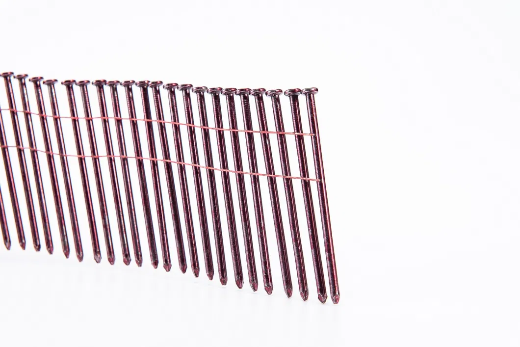 Screw Shank Coil Nails Manufacturer