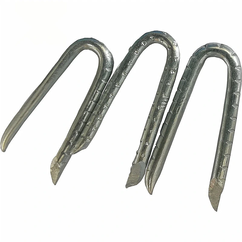 Smooth Shank Flat Head U Type Nail/U Shaped Fence Staple