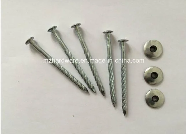 Assembled Galvanized Screw Roofing Nail with High Quality and Competitive