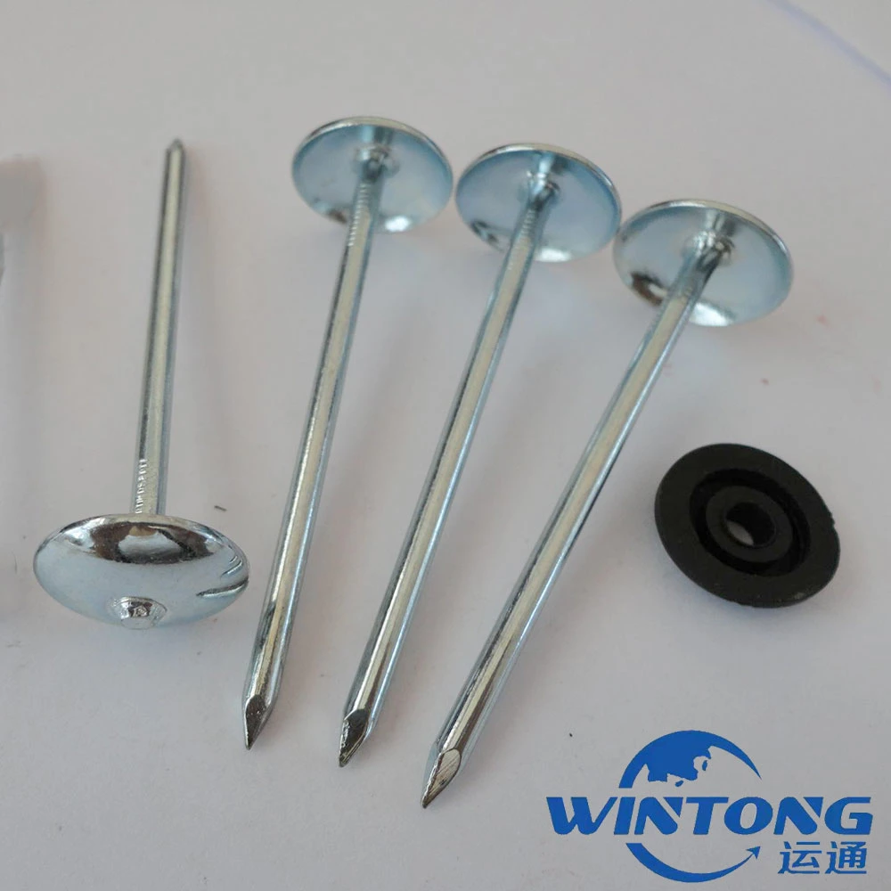 Galvanized Umbrella Head /Polishing/Twist Shank Roofing Nail