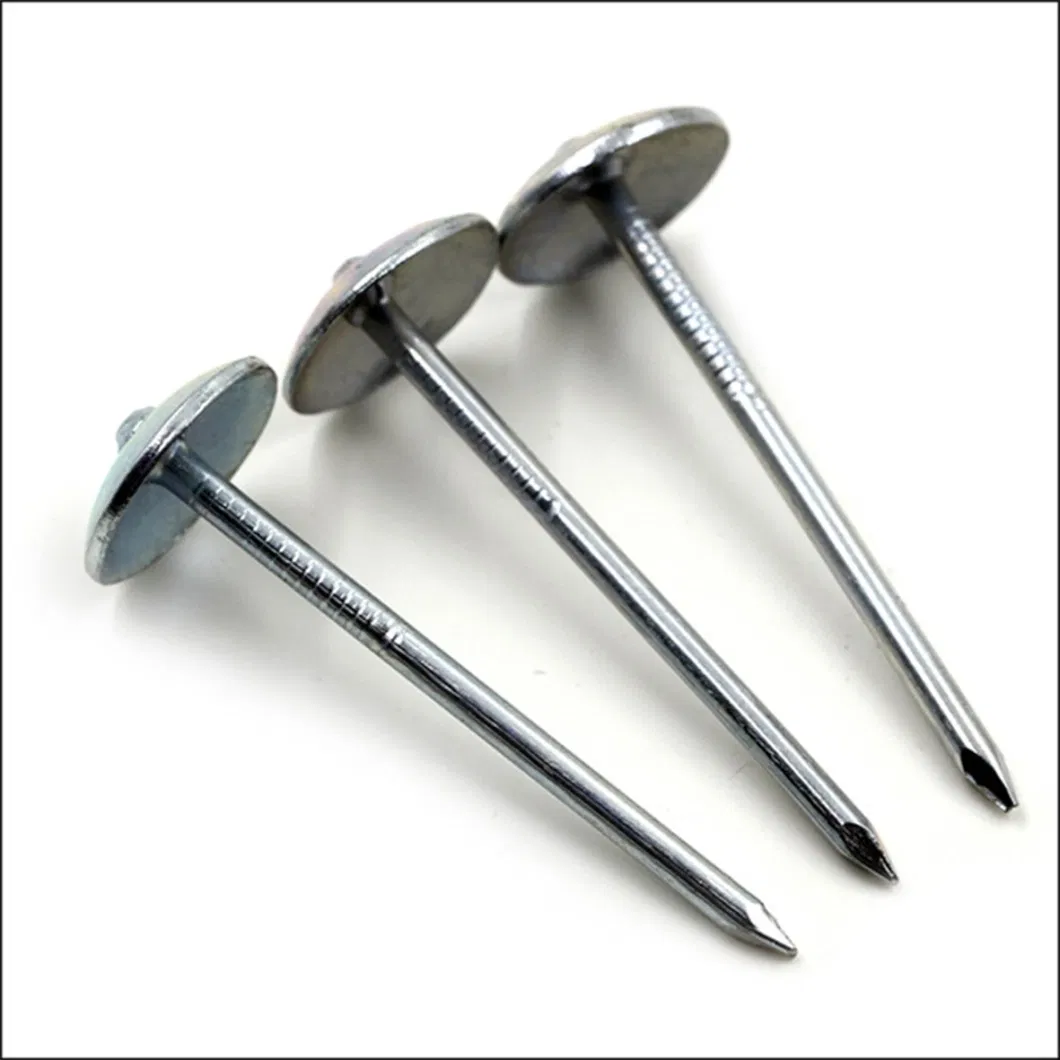 Twisted Shank Umbrella Galvanized Roof Nails with Cap Bwg9X2.5&quot; Clavo PARA Techo De Zinc Ring Shank Roofing Nail Without Washer