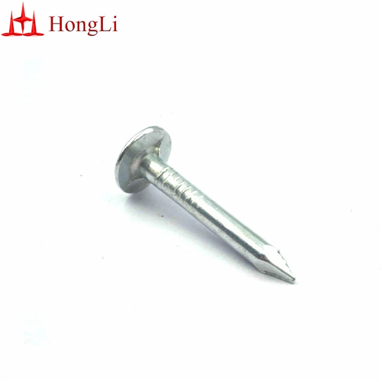 Low Price 25mm X 3 mm Flat Head Roofing Nails/Galvanized Clout Nails for Roofing/Coil Roofing Nails/Cupper Nails/Iron Nails/Galvanized Nails