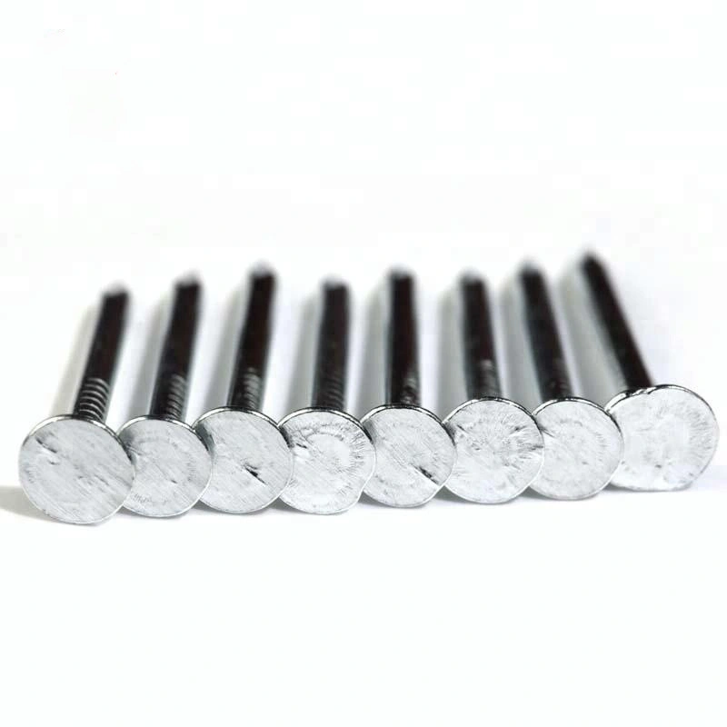 China Nails Factory Top Quality Clout Head Zinc Plated Cupper Nails