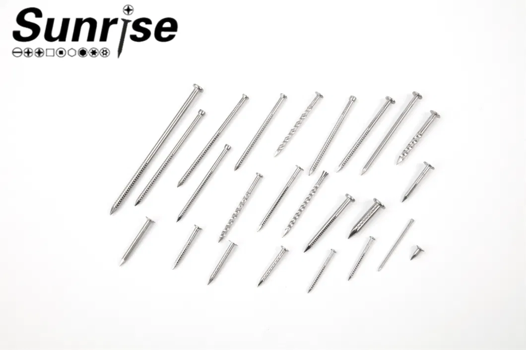 Stainless Steel Lose/Shank Nails Screws