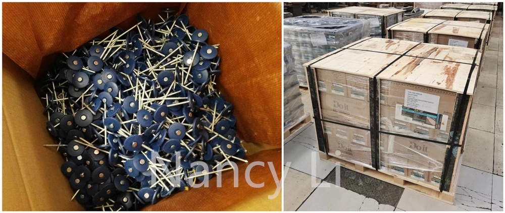 12g X 1inch Electro Galvanized Plastic Cap Roofing Nail Ring Shank Roofing Nails 3000PCS/Pail