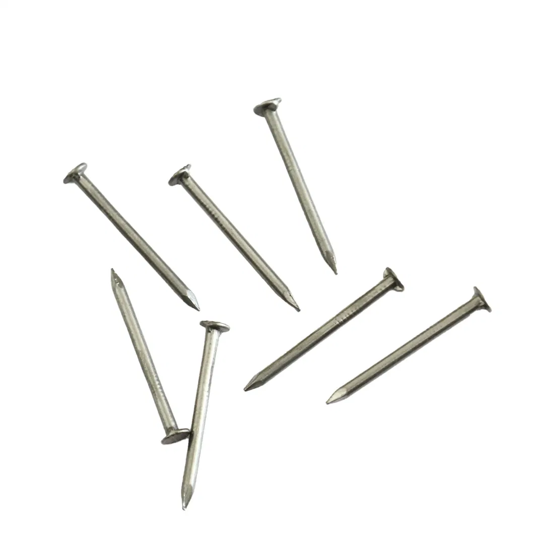 Construction Nails Steel Concrete Nails Common Iron Nail for Building Construction