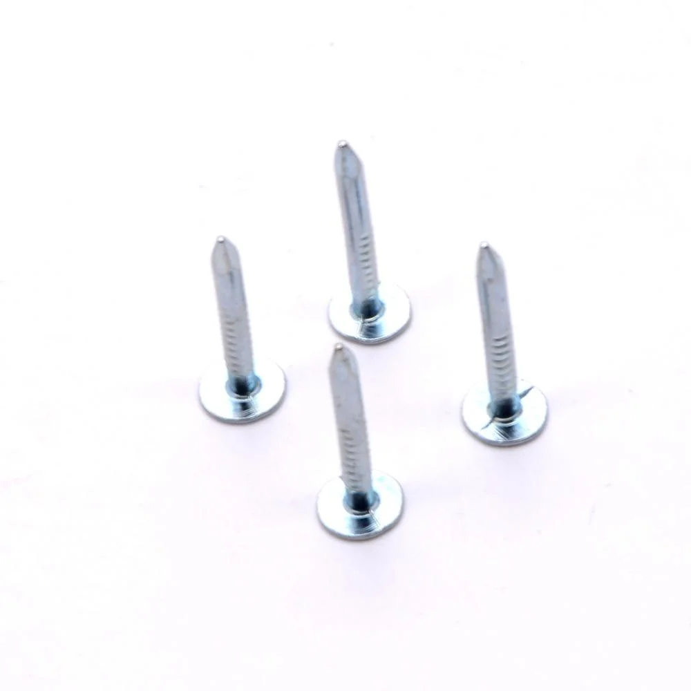 Professional Flat Head Roofing Nails Ceiling Nails Galvanized Cupper Nails